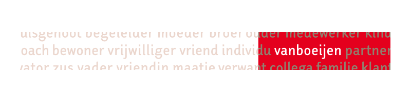 Positionering gehandicaptenzorg Vanboeijen