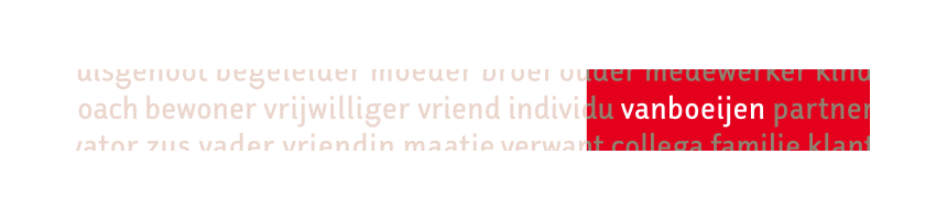 Positionering gehandicaptenzorg Vanboeijen